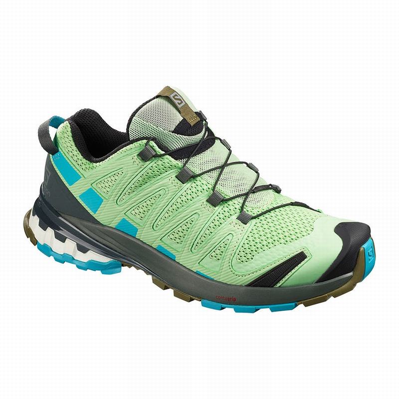 Salomon Trail Løbesko Dame Grøn - XA PRO 3D V8 (DTKOM-2763)
